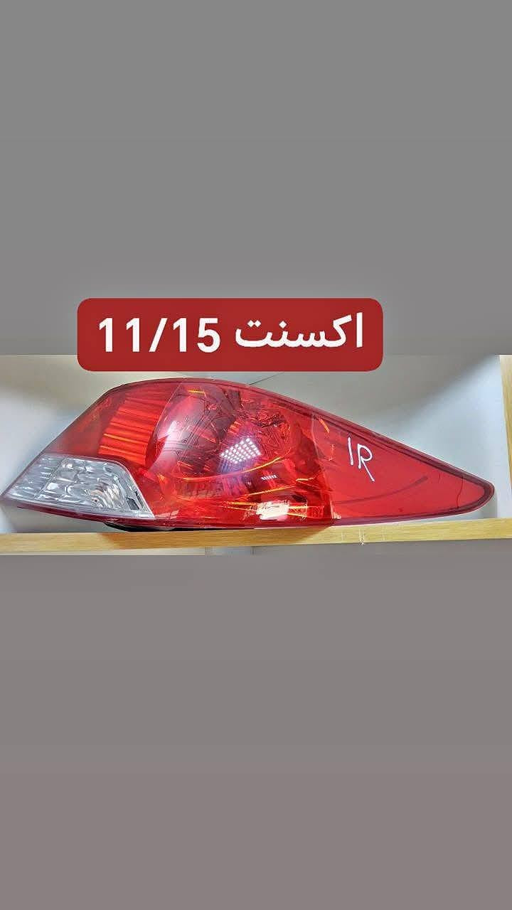 تفصيخ أصلي • حجز واتساب • توصيل المحافظات