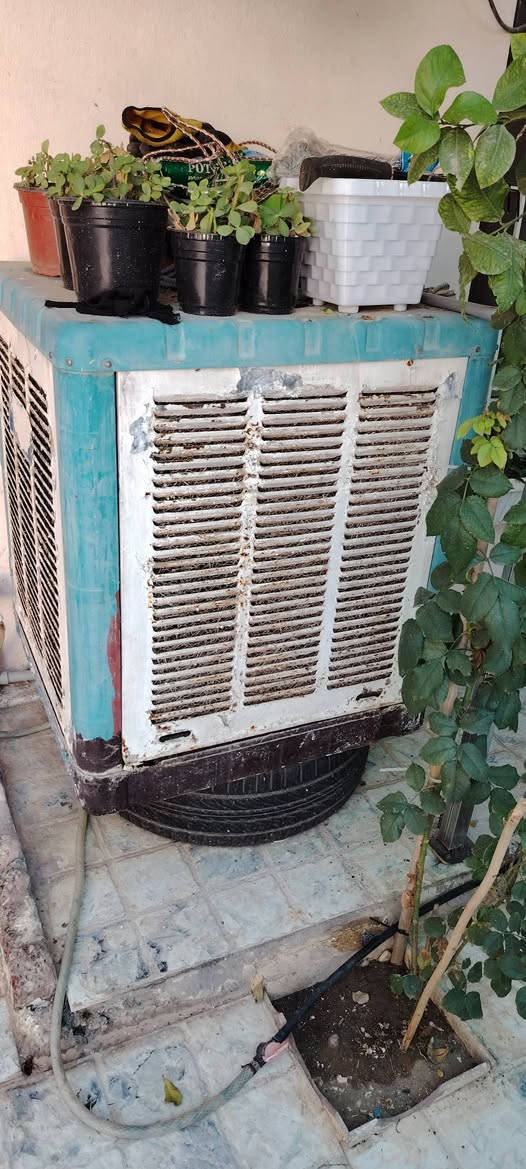 للبيع مبرده عدد 2 شغالات بشرط سعر الوحده 50 الف واذا اثنينهن شروه وحده 90 الف قفل
العنوان كركوك / حي الاسرى
***********
