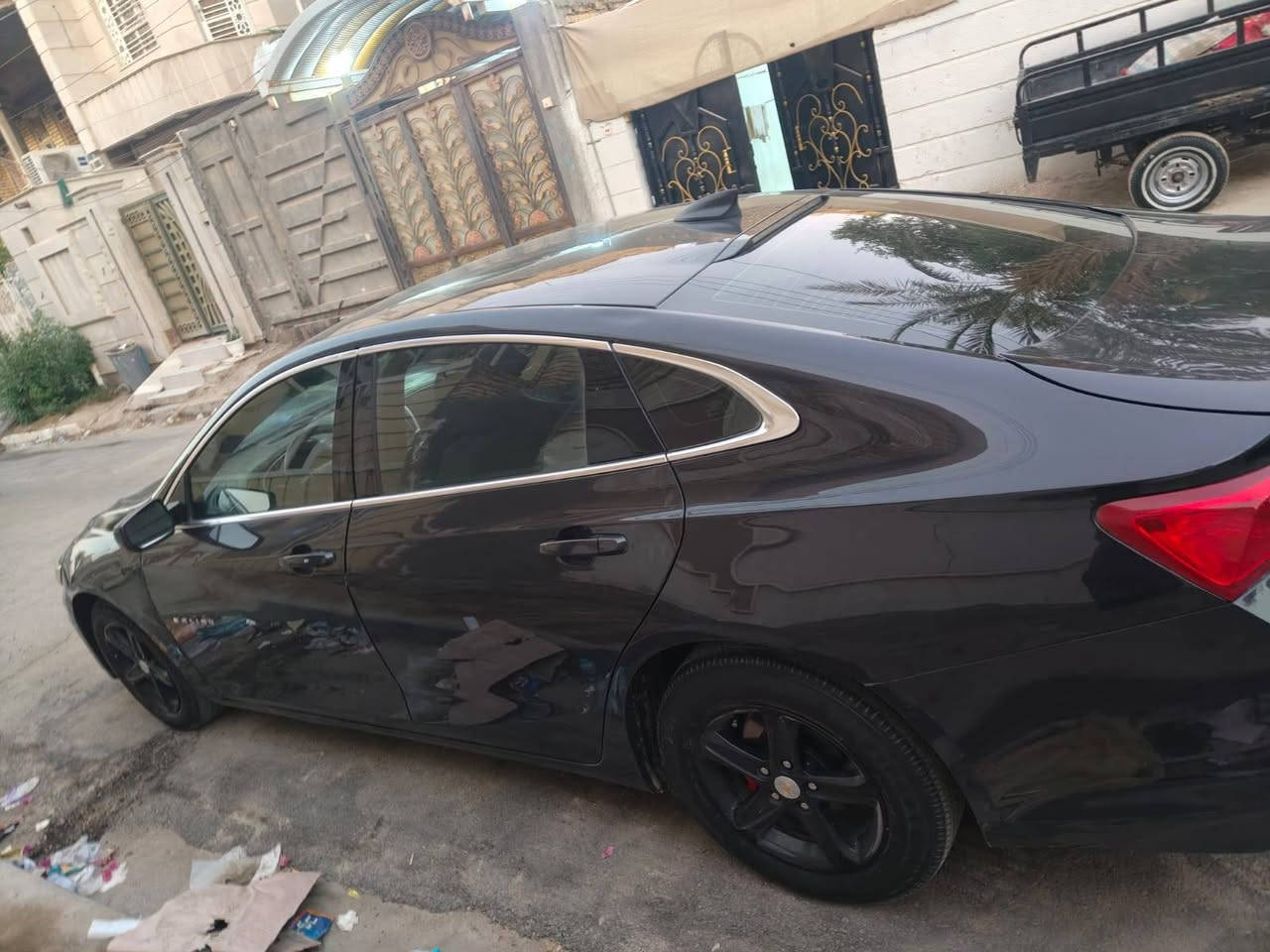 ماليبو • ٢٠٢٢ • رقم بصره