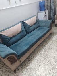 تخم قنفات • نظيف • كنبة