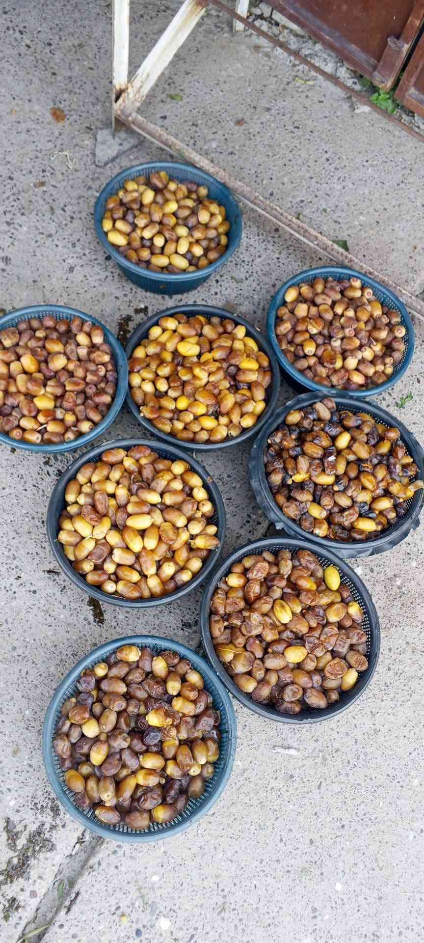 مسواك اليوم 
طماطة 750
خيار 500
اسود 500
فليفلة 750
فليفلة اصابع 750
شجر 1000
بصل أبيض 1000
بصل حار 1000
بطاطة 1250
لوبية 1000
فاصوليا 2000
بامية 2000
تفاح 1500
خوخ 1500
سواره 1500
ليمون 1500
عنب 1250
كيوي 2000
***********
