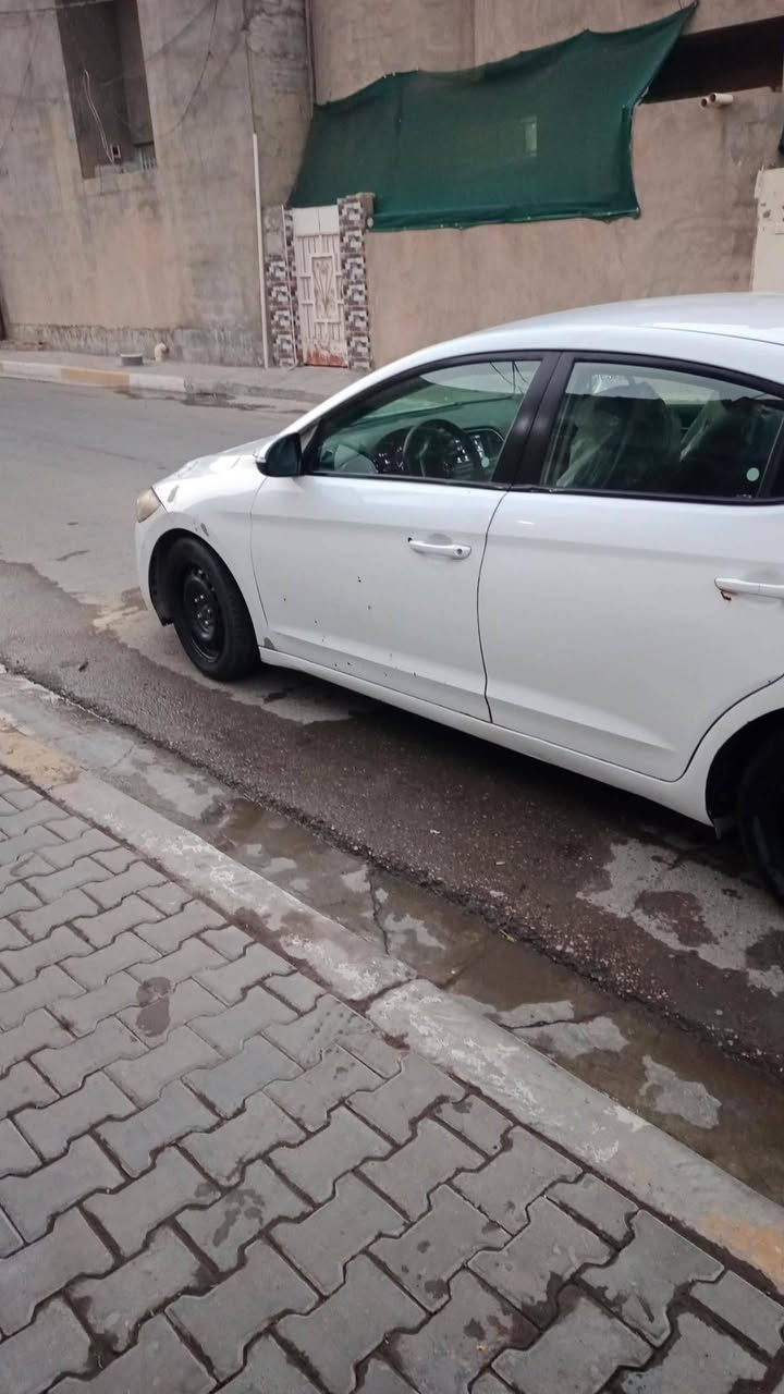 النترا ٢٠١٨ • وارد • ٥ قطع صبغ
