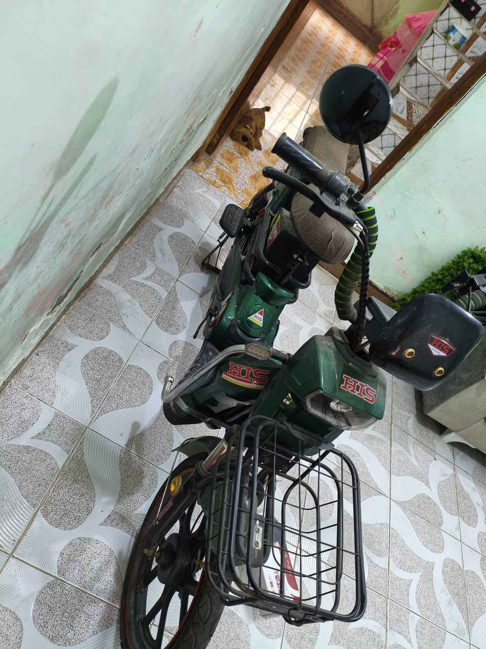 دراجة شحن • كهربائية • للبيع