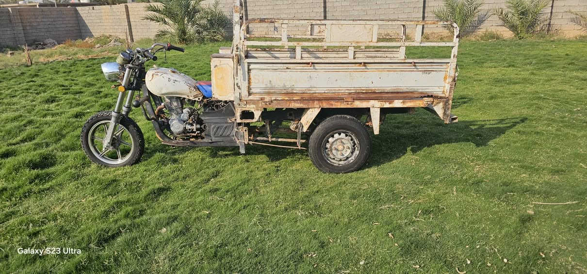 ستوتة فحل للبيع اوراق اصولية اتصل *********** مكلف بل نشر المكان ديالى بعقوبة

