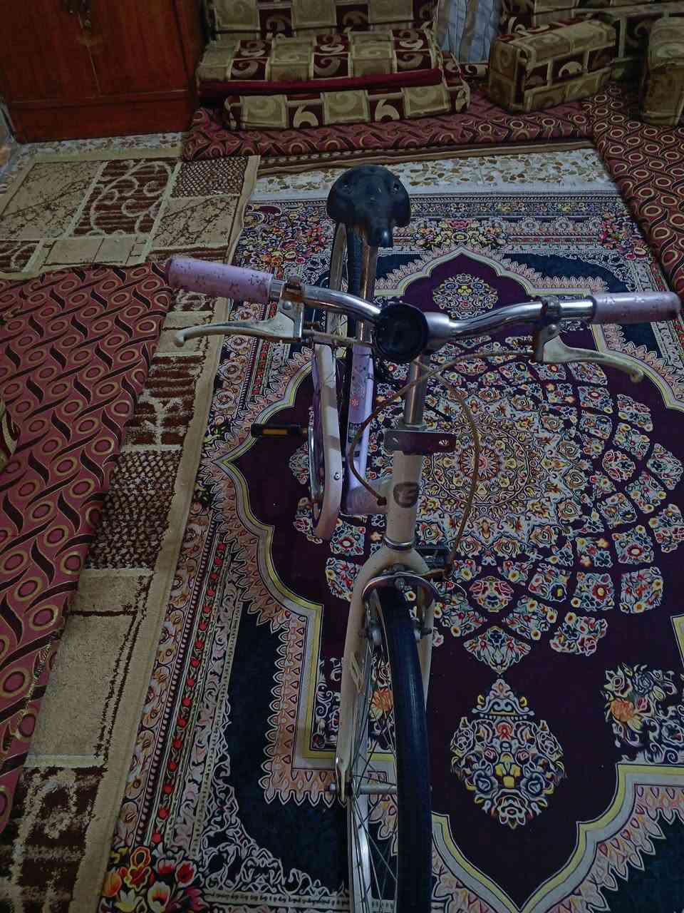 باسكل • نضيفه • حجم ٢٢