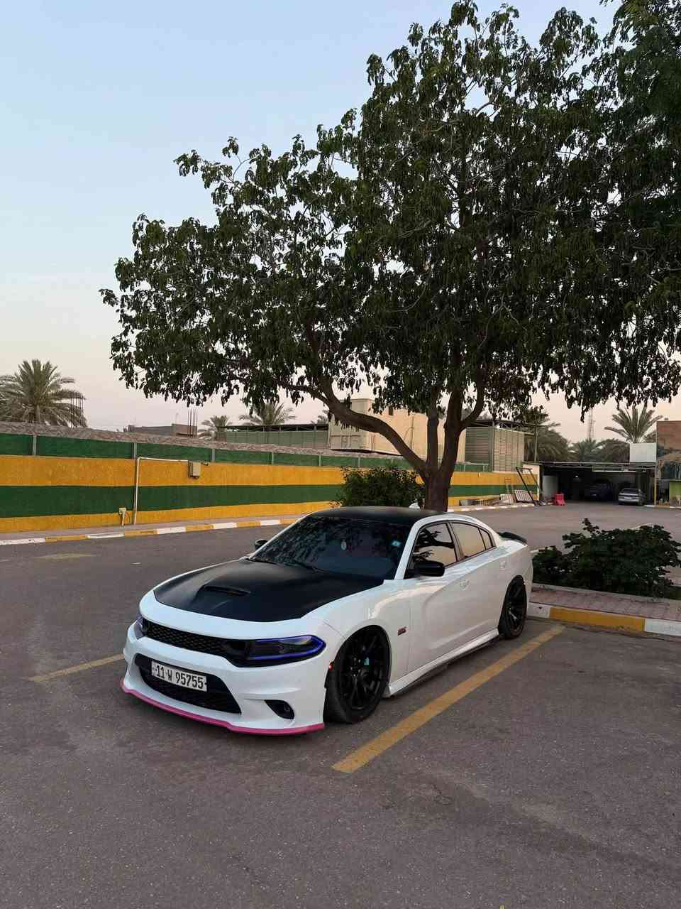 جارجر ٣٩٢ • V8 ٢٠٢٣ • برمجة ٤٨٠