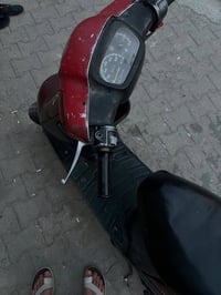 بطة • ماروني • شاصي مكفول