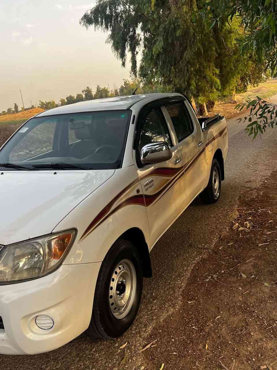 فلاحي • ٢٠٠٨ • بدون صبغ