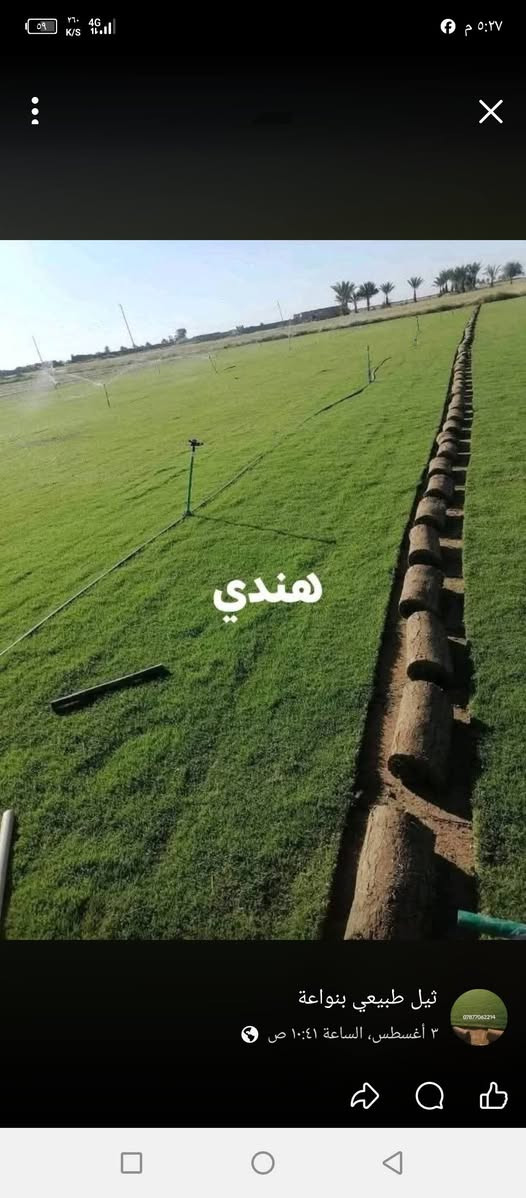 🟢! 🏡
مرحبًا بكم في مزارع الحسن للثيل الطبيعي 🌿🌱
نقدم لكم أجود أنواع الثيل الطبيعي الدائم الخضرة، يتحمّل كل الظروف المناخية 🌞🌧️
✅ عروض مميزة بأسعار تنافسية
✅ تجهيز وفرش الحدائق والمنازل ودوائر الدولة والملاعب والمنتزهات
✅ جودة عالية + خدمة توصيل خلال 24 ساعة 🚛
💸 الأسعار تختلف حسب الكمية

📞 للاستفسار: تواصل معنا عبر الاتصال أو الواتساب من خلال رسائل الصفحة الآن!
***********

#ثيل_ديالى #عروض_الثيل #خدمات_حدائق #مزارع_ديالى

نص مكتوب في الصور:
- هندي ثيل طبيعي بنواعة ٣ أغسطس، الساعة ١٠:٤١ ص
- ٠٤:٢٤ ٢٠٢٦/٠٨/١٤
- E ٤٤,٤ N ٣٥,٠
- أدخل النص
- Infinix HOT 60 Pro+
- ٢٠٢٦/٠٧/٢١
- Diyala Governorate, العراق
- Infinix HOT 60Pro