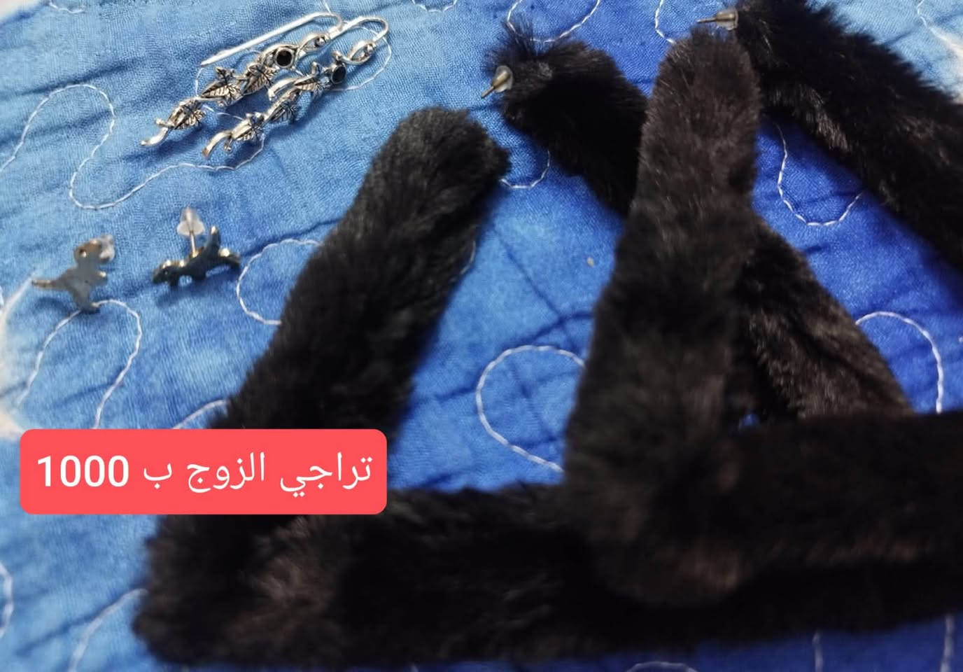 تلفزيون • ميز • صوبه