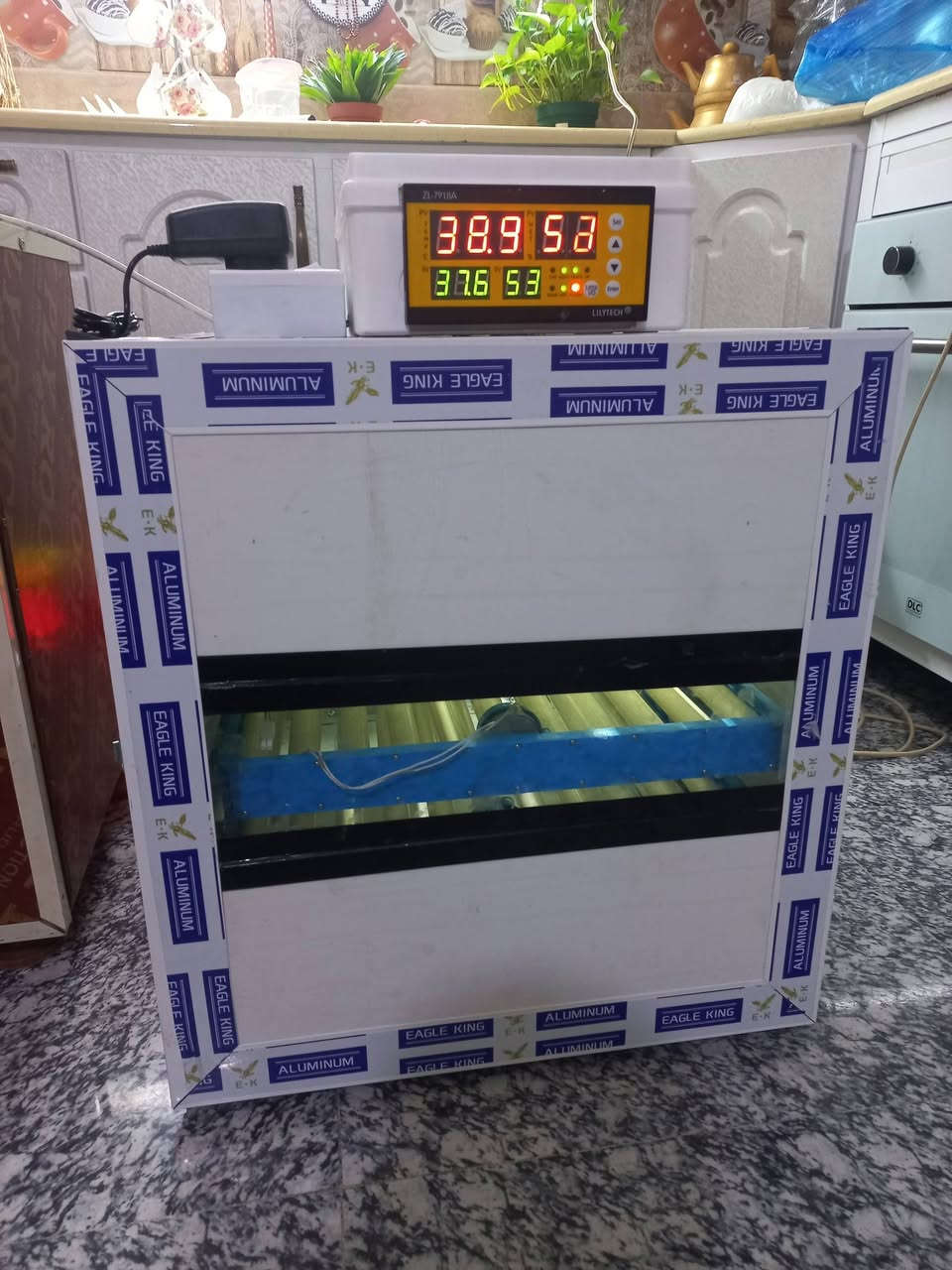 تجهز فقاسات 
تجهيز فقاسة ٣٠٠ بيضة إلى بغداد وديالى والنجف وكربلاء 
تجهيز فقاسة ٢٢٥ بيضة ديالى وبغداد والانبار وسامراء 
مستعد لتصنيع كافة أحجام الفقاسات ويوجد توصيل لجميع المحافظات 
***********
للحجز والسؤال عن الأسعار التواصل عبر الخاص او الاتصال ويوجد واتساب
