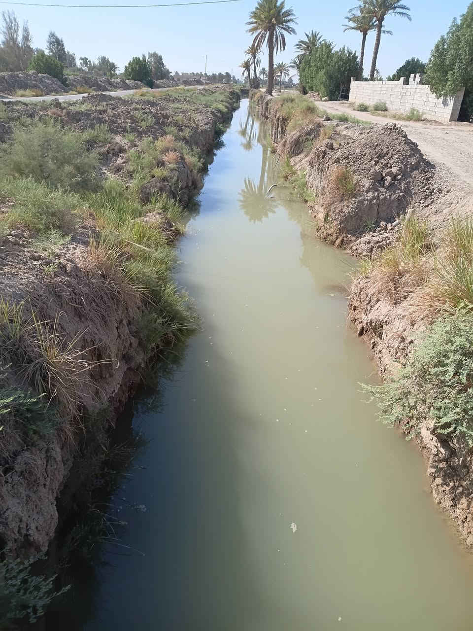 البيع ٢٠ دونم مع بيوت اثنين حديثات عقد ١١٧ مي موجود بابل جبلة رشايد واتساب ***********

