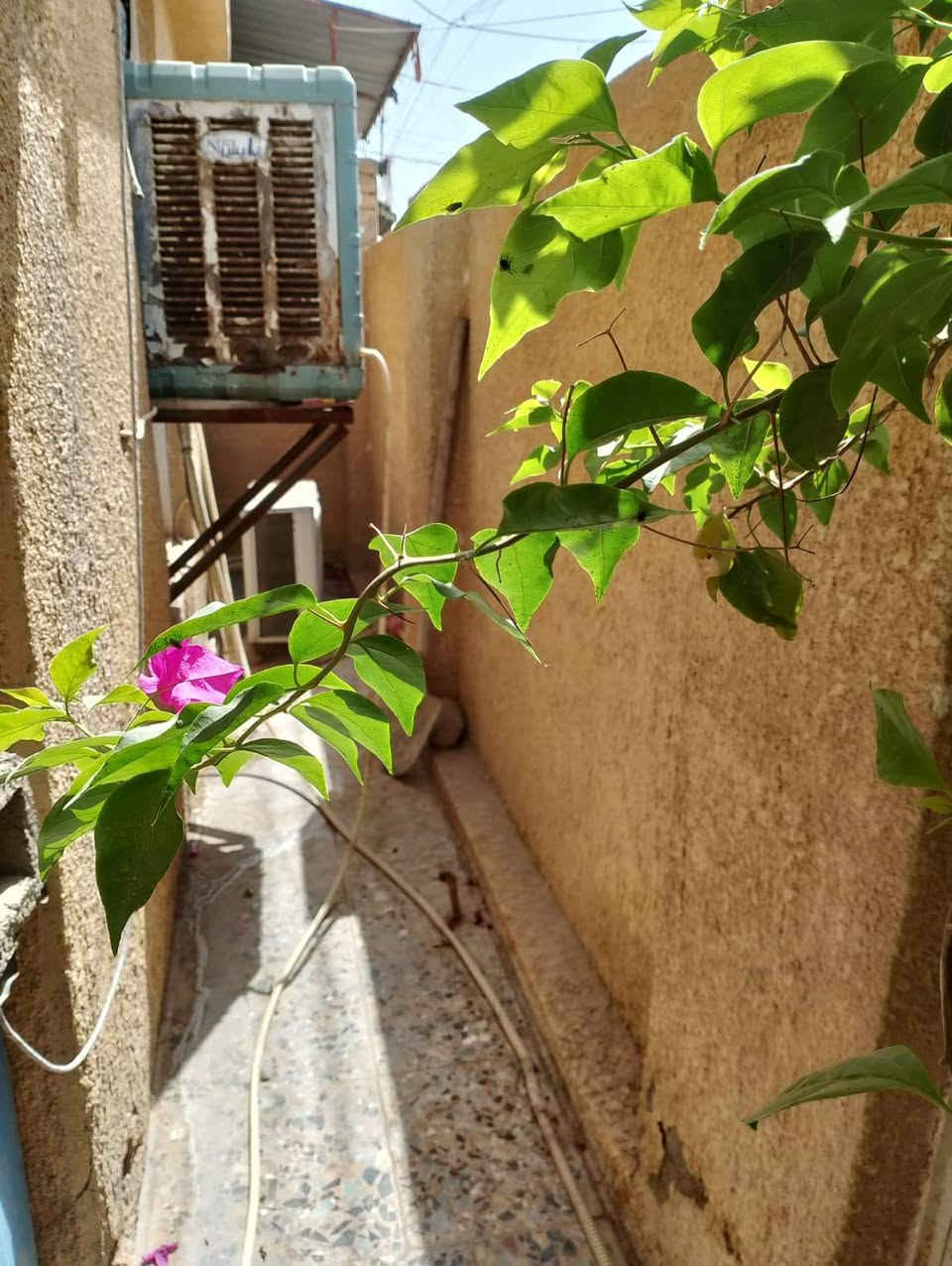السلام عليكم ..بيت  150 ركن مطلوب قرض عقاري بناء متوسط عالي عن الشارع  طابق واحد ..باقي عالقرض 43 مليون ..اقساط 263 الف بالشهر السعر  80 مليون  وبي مجال شارع ابو سمير منطقة ال27 قرب افران البشير للأستفسار صاحب الدار ***********
