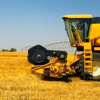 ني هولند • ٢٠٠٥ • دبل درام ٥٦
