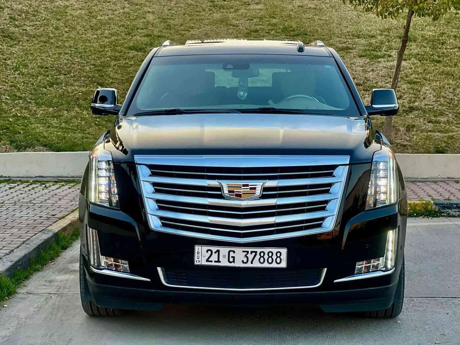 سكاليد • ٢٠١٩ • رقم سليمانيه