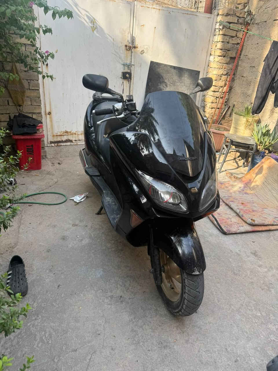 فورزا • صفر • نضيف