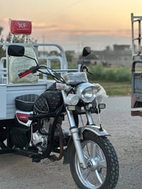 ستوته • ٢٠٢١ • فحل