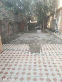 ١٥٠م • طابو ملك صرف • نهر الشيخ