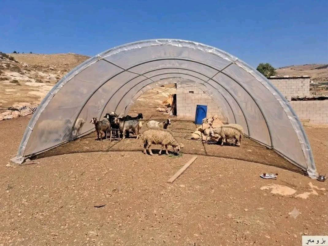 بيت بلاستيكي • ٦×٤م • ارتفاع ٢٢٠سم