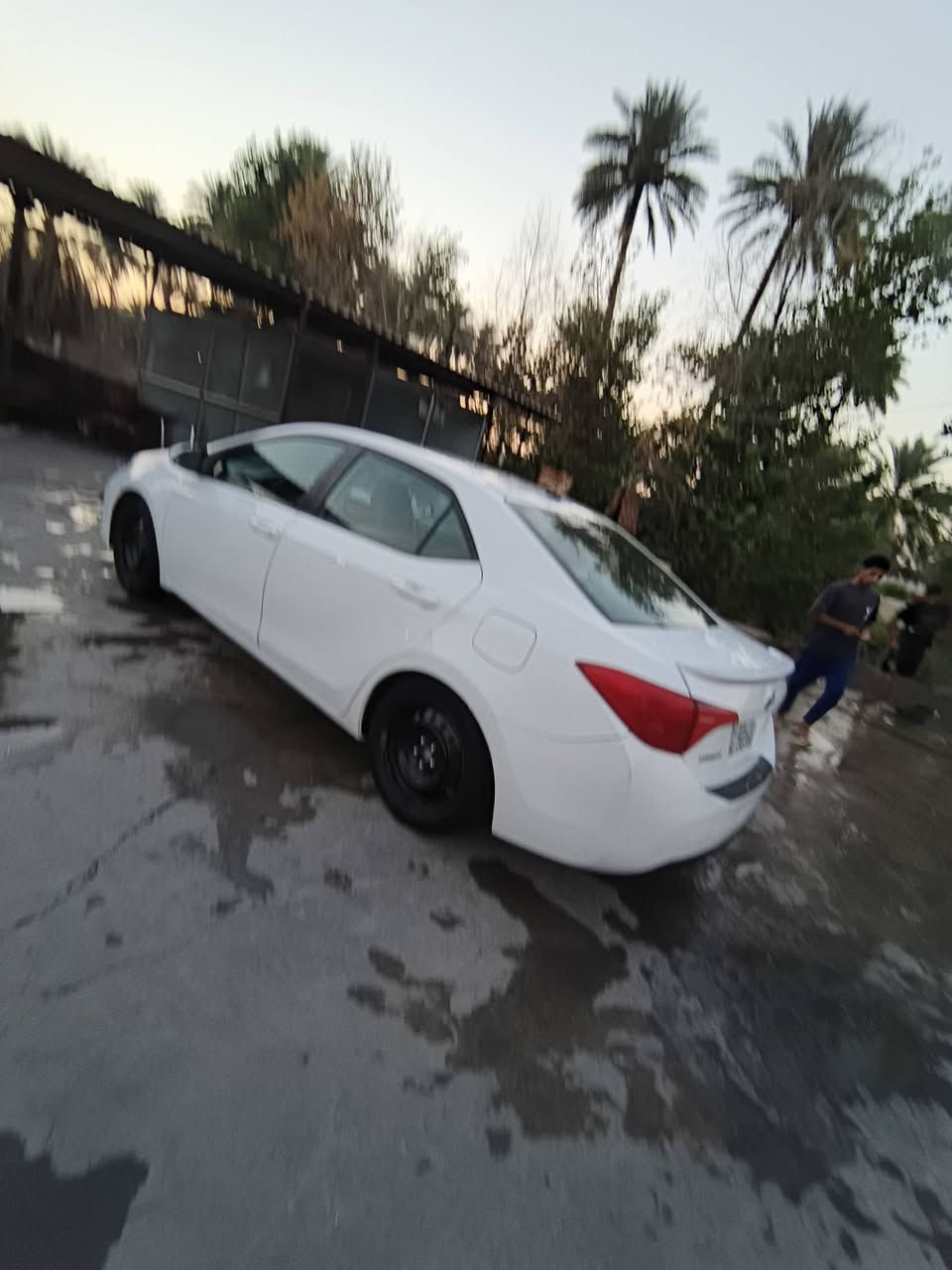 كورلا 14جاهزه مكينه كير حداديه تخم تاير تبريد ثلج سياره جاهزه للخير مواصفات معروفه رقم بغداد أنكليزي بسمي سنويه مجدده لل34 السونار مرفق بل منشور سعر 105وبيه مجال الاستفسار ***********
