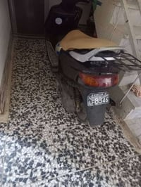 فراشة فحل • دسك • حاويه
