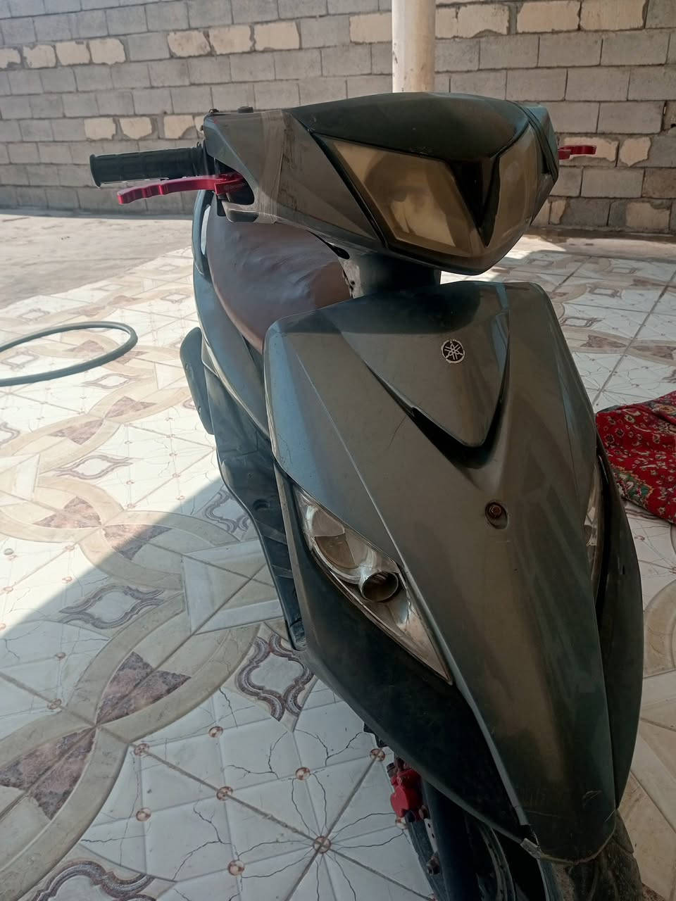 السلام عليكم ماكس ثعلب للبيع الشراي يتصل ***********
