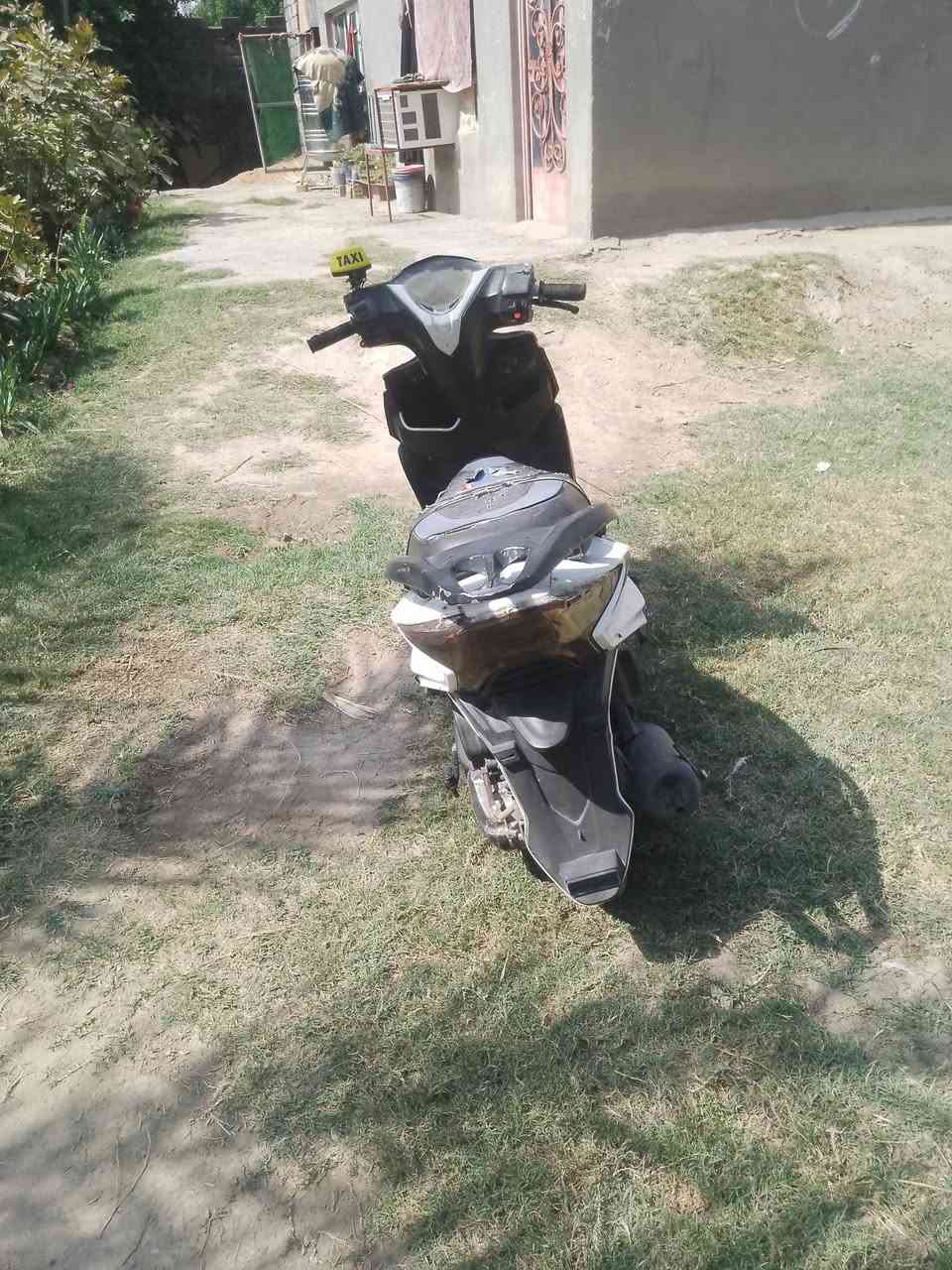 سكنس فحل • ٣٥٠ • مجال