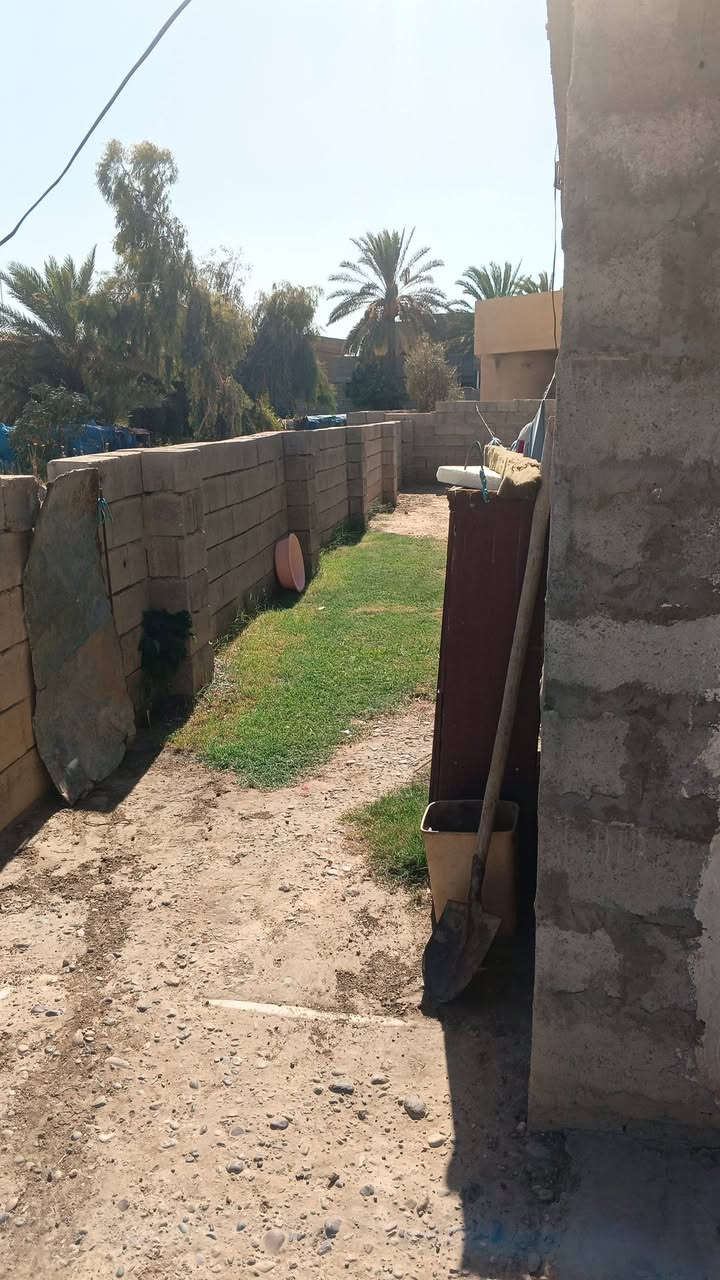 هيكل للبيع • ٦٠٠م • طابو زراعي