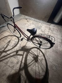 بناتي • حجم ٢٦ • ماروني