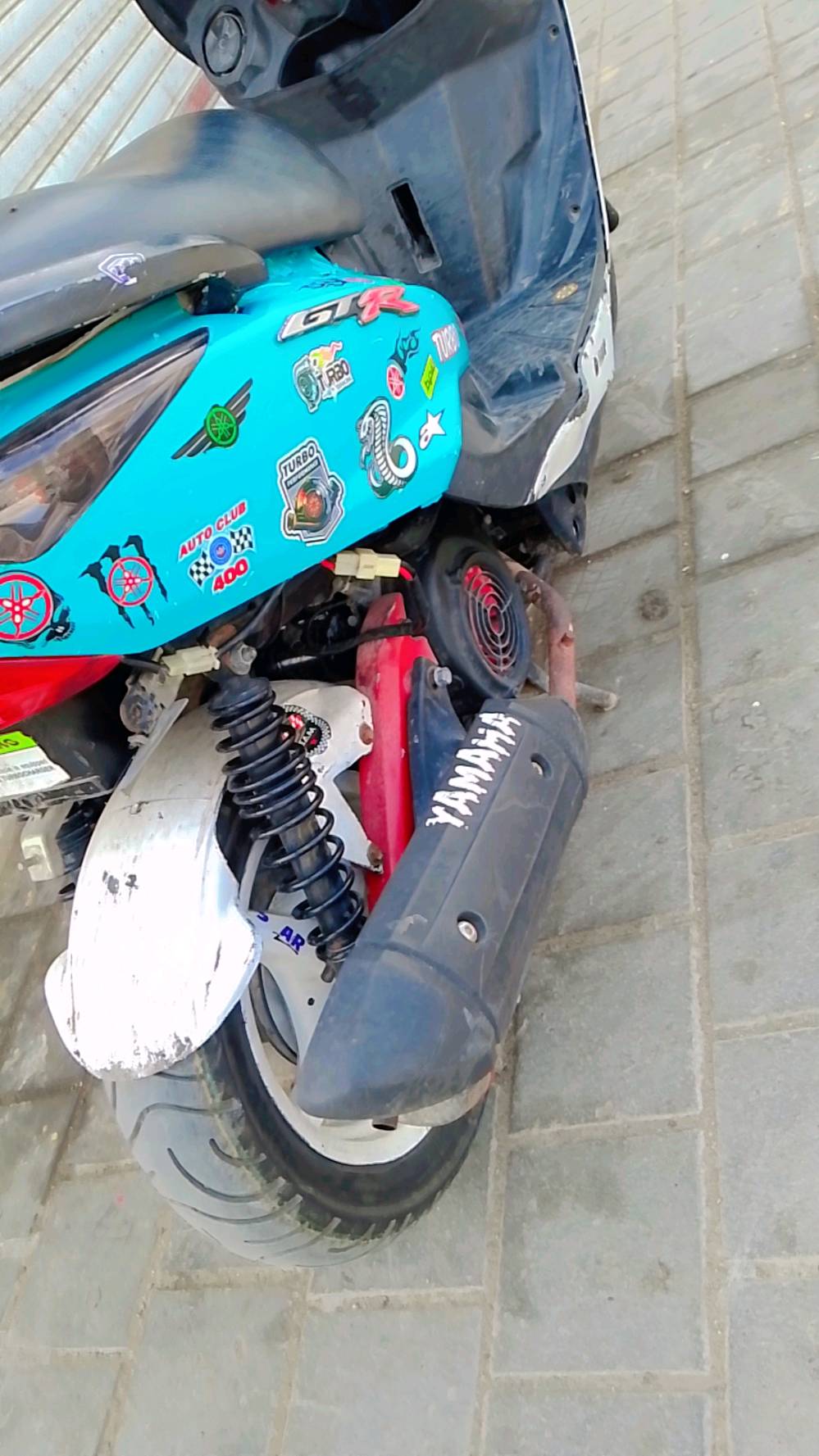 ماكس ثعلب • جديده • سلف