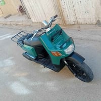 بيكم كلاسك • فحل • سلف