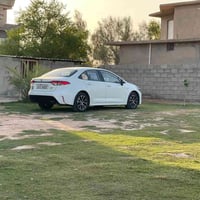كورلا • ٢٠٢٤ • رقم بغداد