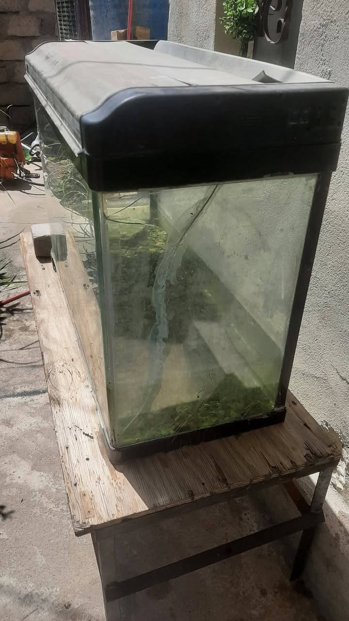 حوض سمك معة نشرة وياه وجهاز تدفئة 🐠🐠 للبيع السعر 30 مكاني كيارة داخل للستفسار هذا الرقم *********** فقط واتساب أو خاص
