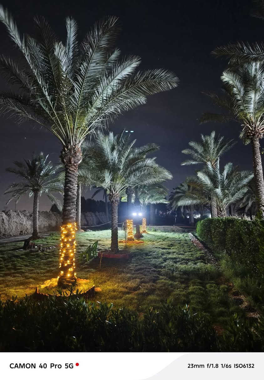 بسم الله الرحمن الرحيم. وعلى بركت الله فل يتوكل المؤمنون عملنا مستمر وكادر متوفر العمل لاين وزراعه الثيل ولاشجار🌴🌷🥀🌻☘️🌵🪴🍀🌼🌴🌴🌴🌲🌲🌲 وخصيصا هاذا الشهر ارقه وافظل شهر للزراعه عمل ديكورات بل حجر الطبيعي وليس صبغ  عملنا مستمر وبانسب لاسعار 
للتواصل ***********واتساب متوفر  عاده مايتم الرد خلال دقائق 
***********
 ملاحضه العمل في كافه المحافظات 
#الاشاره@
