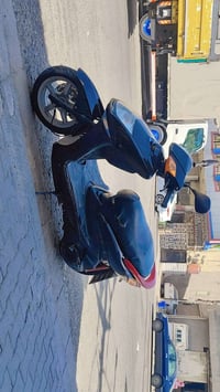 سكنس نثيه • ياباني • لايت مكسور