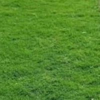 ثيل طبيعي • مزارع عالية • توصيل المحافظات