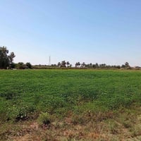 بغداد اليوسفية للبيع دونم طابو زراعي سند 25 خدمات كامله أرض صالحه للسك...
