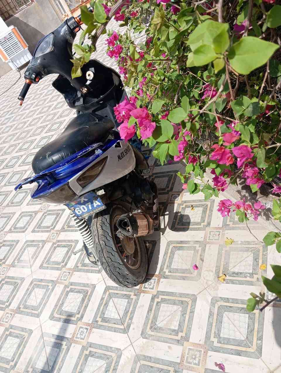 ماكس مضلع • ٥٥ • بيه دخان