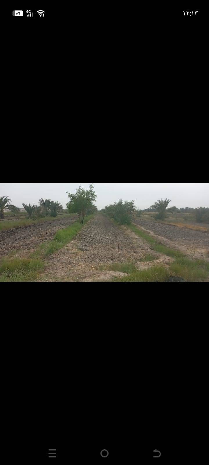 الناصرية الخميسات • ٢ دونم • ٥٠ نخلة
