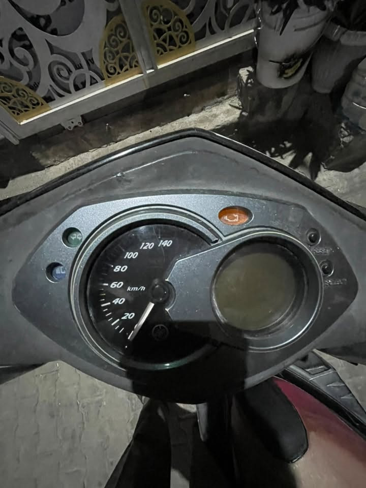 سكنس فحل • ياباني • يحتاج زنجيل