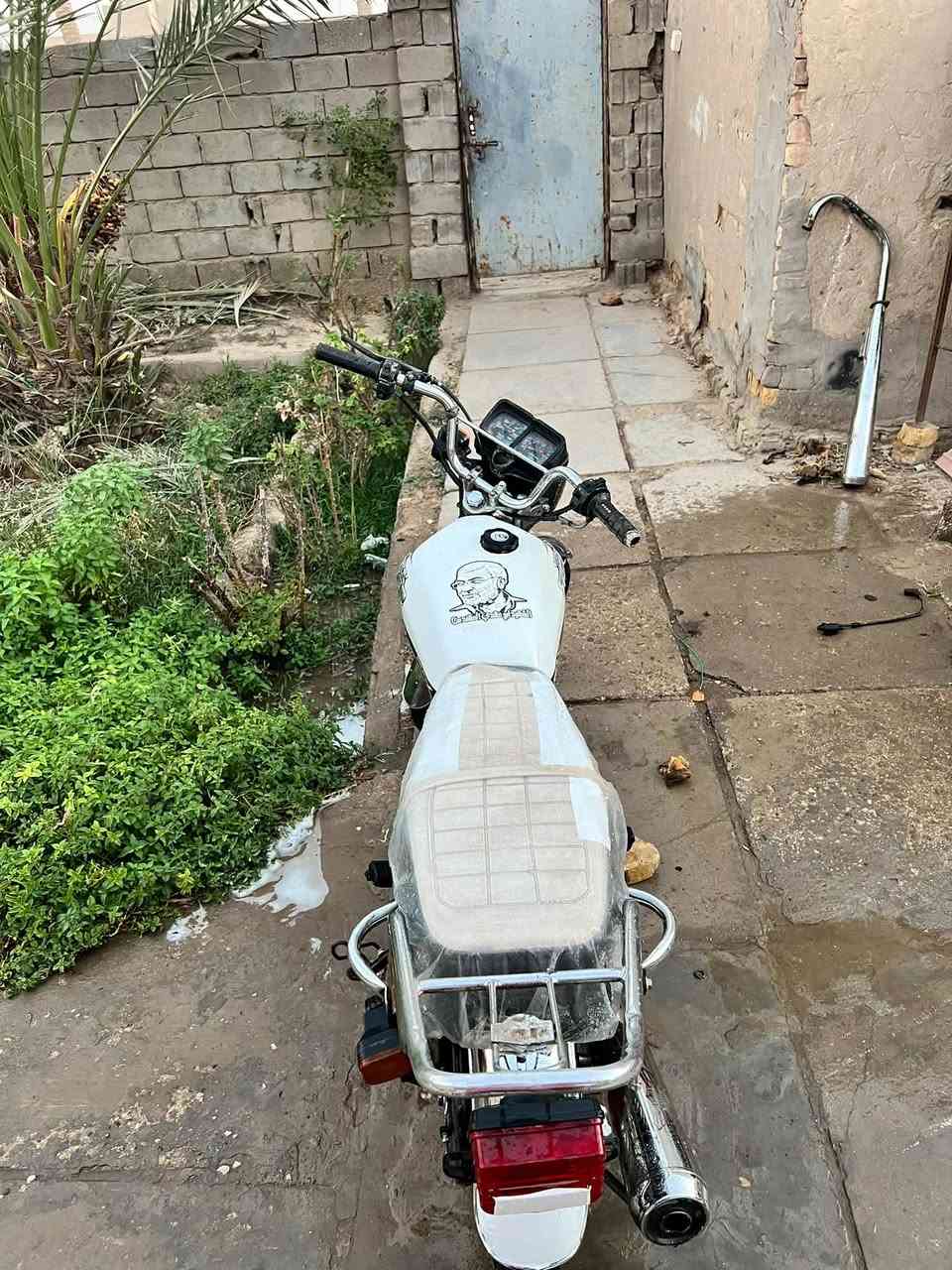 تايكر ٢٠٢٢ اوراق سكنر نهضه ومعدل لا بخار ولا تنقيص مكان ديوانيه دغاره سعر ٤٢٥ وبي مجال ***********
