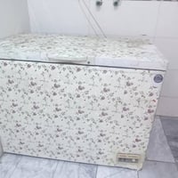 رويال • شغالة • تجميد فول
