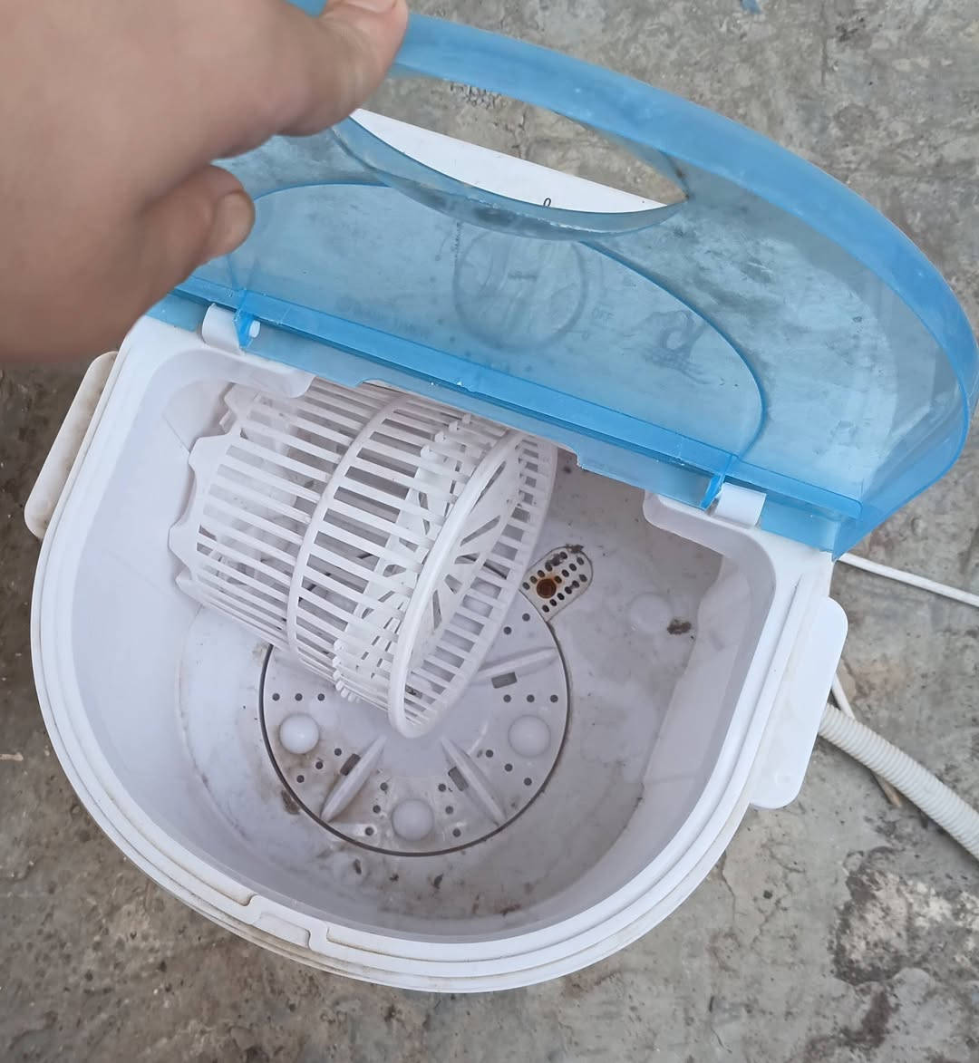 جينكو صغير • سكوتر • باسيسكل