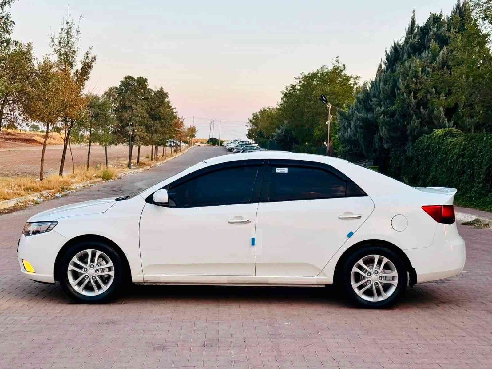 بدون حادث • بدون صبغ • اقساط