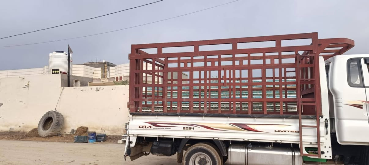 محجر كيه فحل للبيع المكان القاسم السعر 400الرقم والاستفسار  ***********
