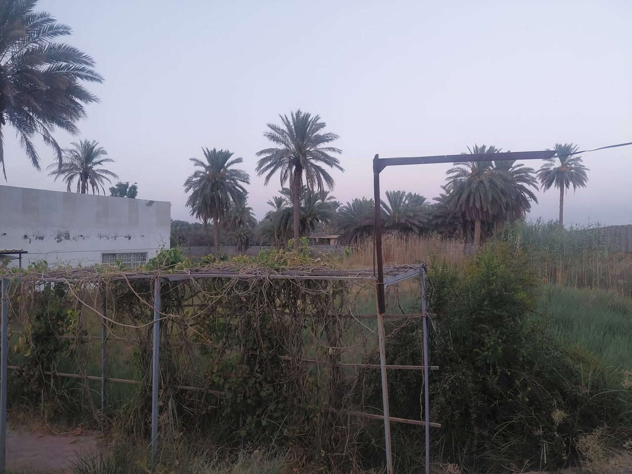 اسلام عليكم ٣ دونم طابو زراعي ٢٥ مسيج بلوك  معه بيت ٣٠٠ متر معه ٦٠ نخله للبيع طريق براهيم ابن علي اتصل واتساب 
***********
