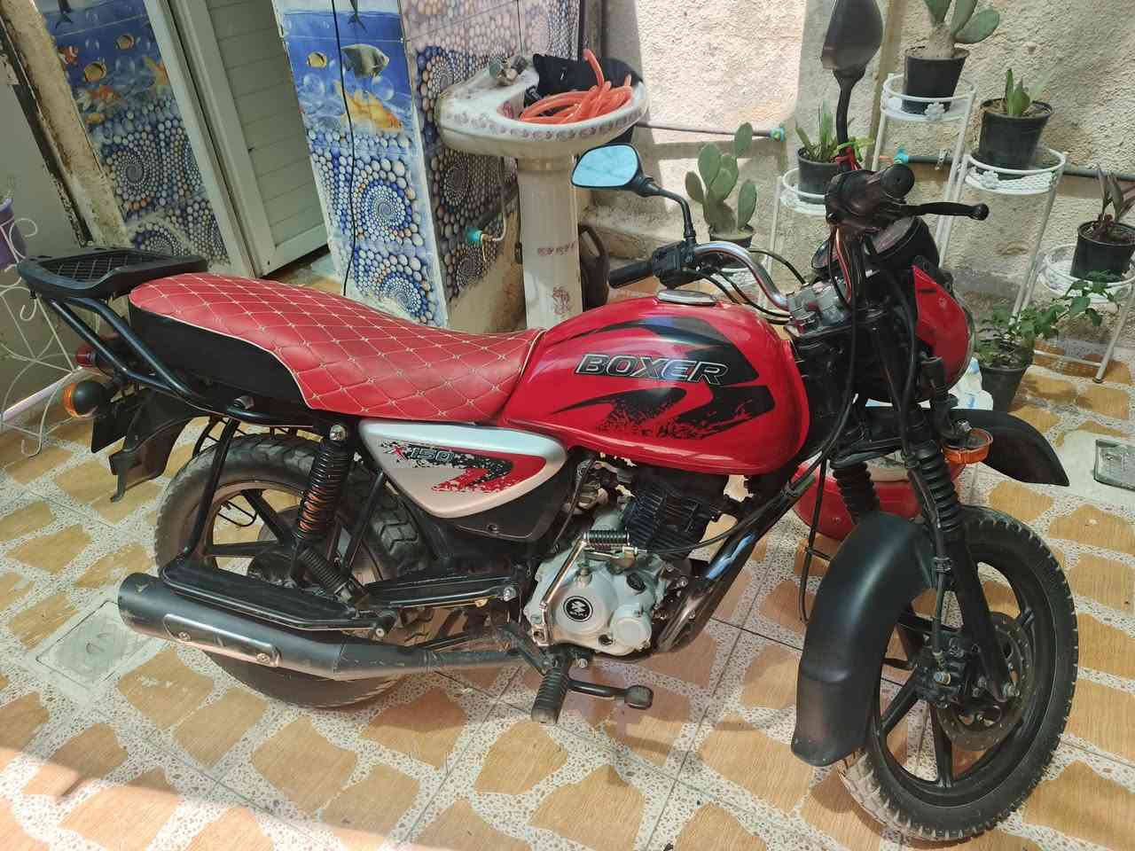 للبيع: دراجة بوكسر (Boxer BM 150) موديل 2022 🏍️🔥
​المواصفات والتفاصيل:
• الموديل: 2022
• المسافة المقطوعة: 82 ألف كم.
• الاستخدام: استخدام شخصي، مامشتغل بيها دلفري نهائياً.
• الأوراق: كاملة وأصولية (سبع أوراق بوجهك للترقيم).
• الكهربائيات: شغالة بالكامل 100% (فقط اللايت الصغير الأيمن مكسور).
​ملاحظة للأمانة: الدراجة محتاجة تجفيت فقط، وباقي الأجزاء والأوراق جاهزة.
​• السعر: مليون و 150 ألف دينار .
​📌 للتواصل والاستفسار وتساب فقط: [***********]
