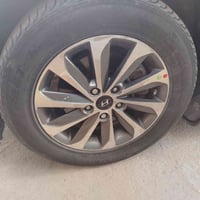 تخم ويل كب حجم ١٦ مراوس بويل عادي أسود مكاني بغداد ٠٧٨١١٦١٥٤٦٣