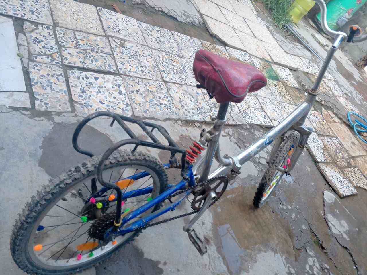 بايسكل • حله سياحي • دولاب