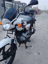 بوكسر اكلاسك • ٢٠٢٣ • ماشي ٣٠٠٠